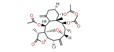 Fragilisinin I